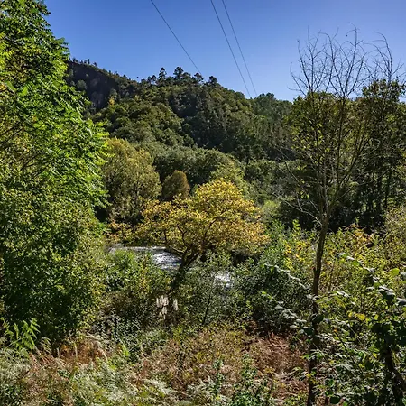 Don Clemente 3d * Cangas de Onis